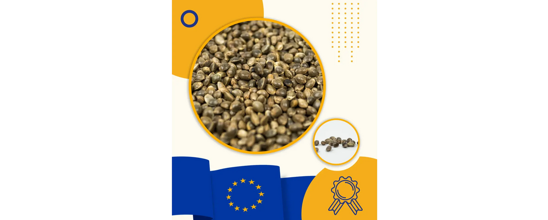 What Makes Cannabis Seeds Legal in the EU?