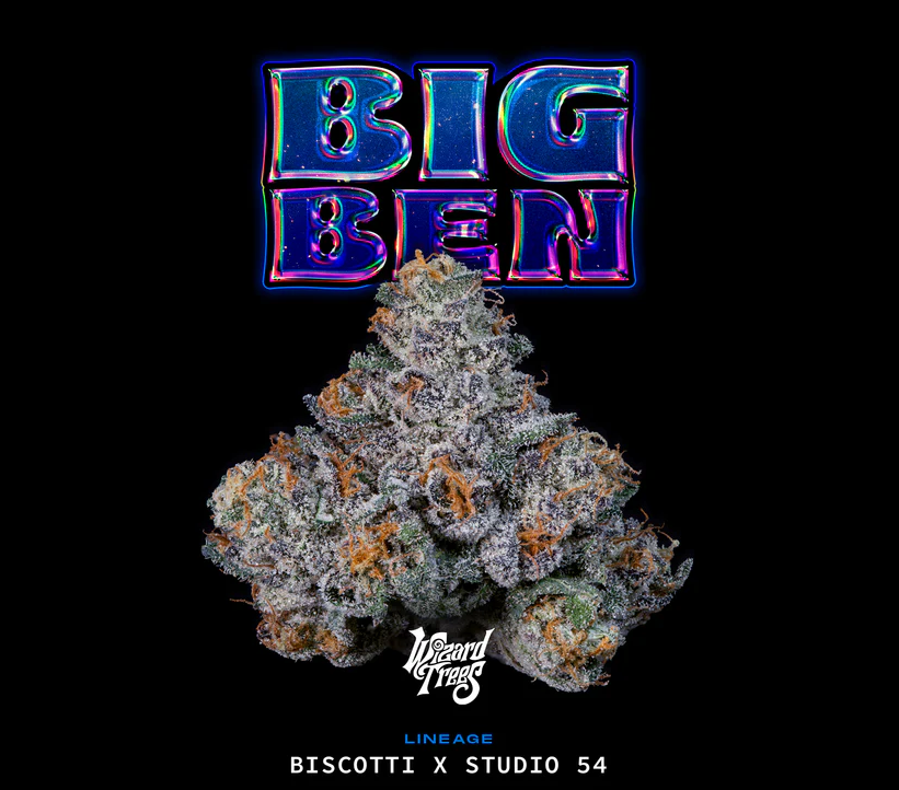 Big Ben (Biscotti × Studio 54)