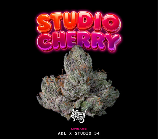 Studio Cherry cannabis seeds – Wizard Trees collectible genetics