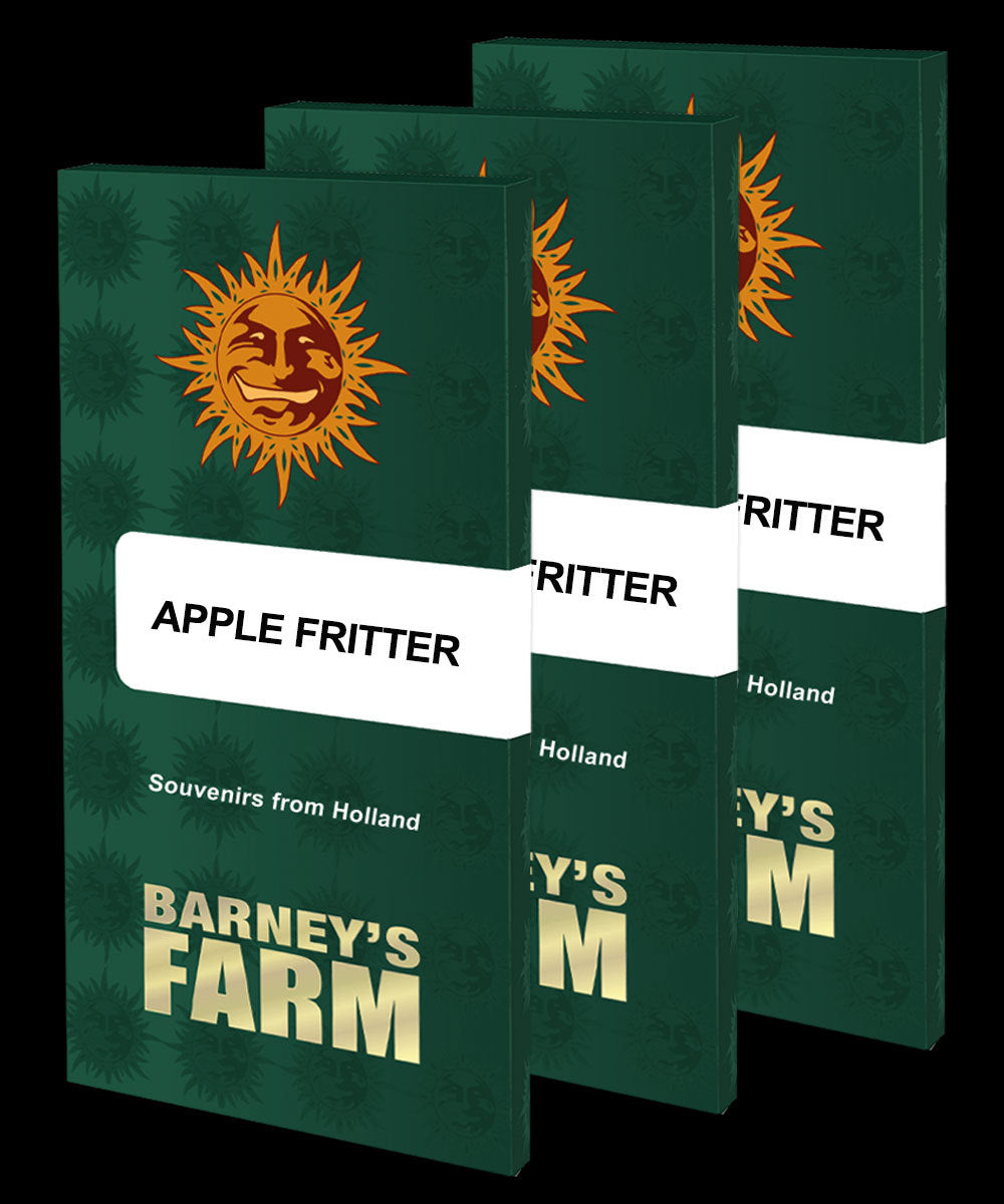 Apple Fritter