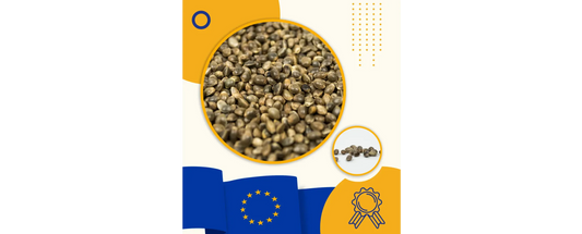 What Makes Cannabis Seeds Legal in the EU?