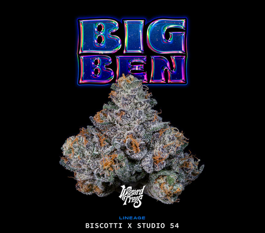 Big Ben (Biscotti × Studio 54)
