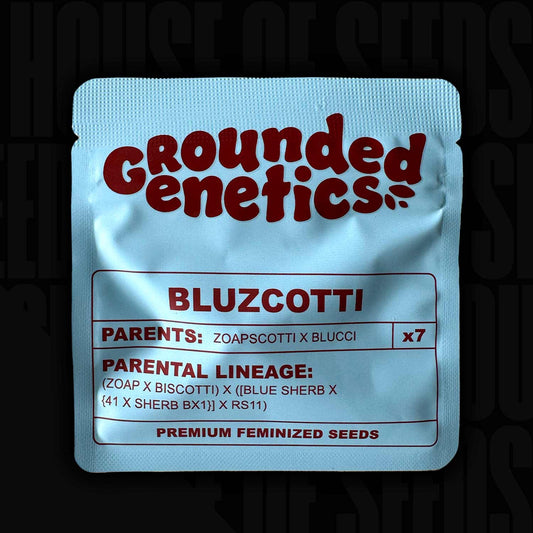 Bluzcotti