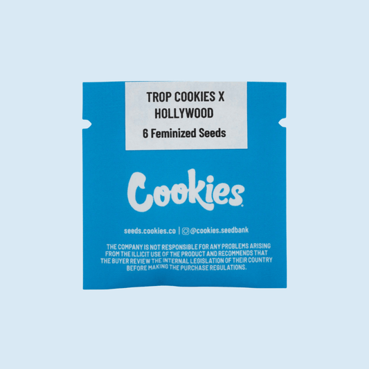 Trop Cookies x Hollywood feminized collectible cannabis seeds – Cookies Seed Bank strain
