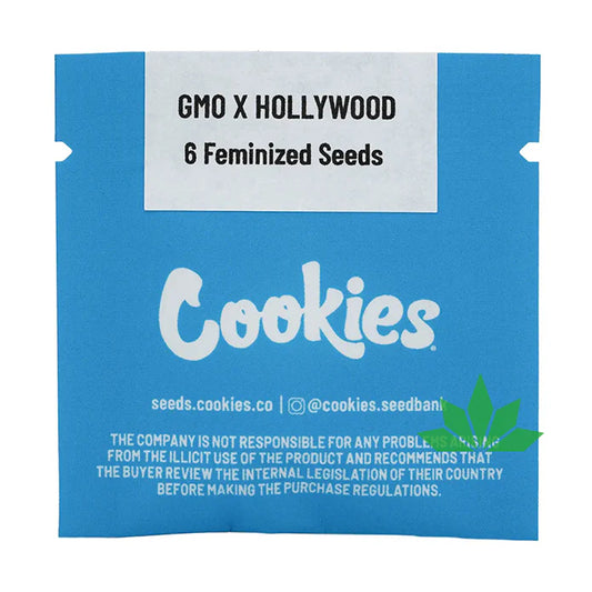 GMO x Hollywood