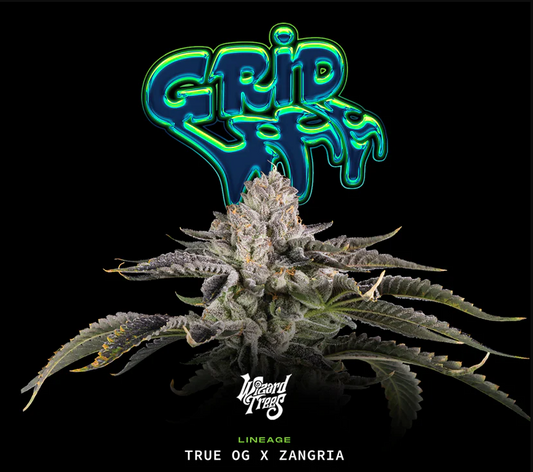 Gridlock (True OG × Zangria)