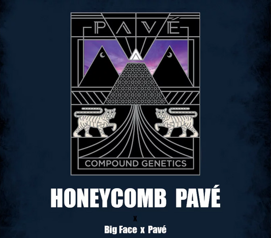 Honeycomb Pave