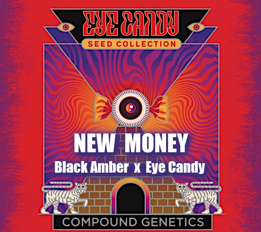 New Money