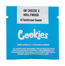 Cookies UK Cheese x Hollywood – collectible feminized seeds | cherry candy, tropical fruit, creamy cheese | Seedz
