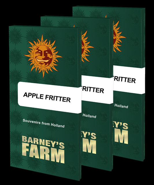 Apple Fritter
